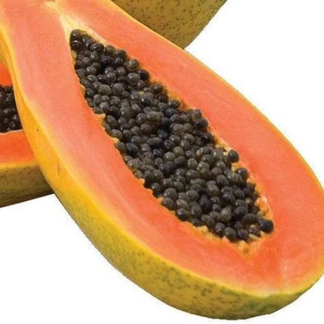 Maradol Large Sweet Papaya Seeds