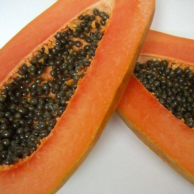 Maradol Large Sweet Papaya Seeds