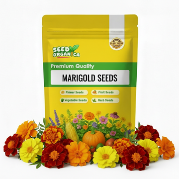 Marigold Seeds