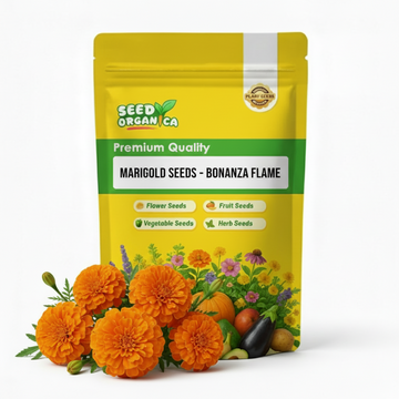 Marigold Seeds - Bonanza Flame