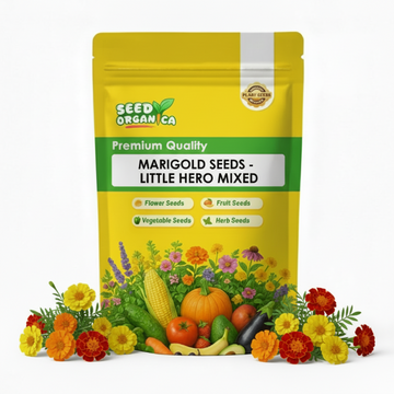Marigold Seeds - Little Hero Mixed