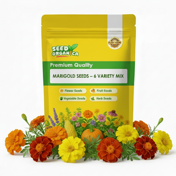 Marigold Seeds – 6 Variety Mix