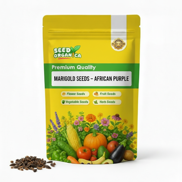 Marigold Seeds – African Purple