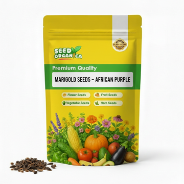 Marigold Seeds – African Purple