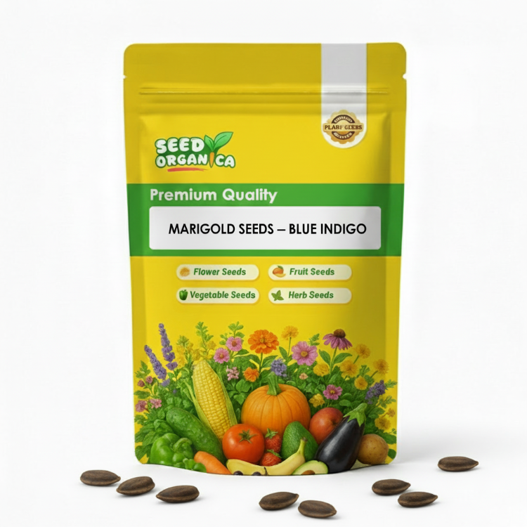 Marigold Seeds – Blue Indigo
