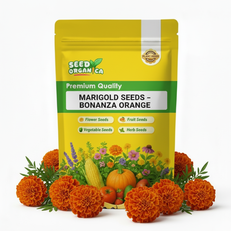 Marigold Seeds – Bonanza Orange