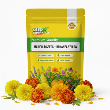 Marigold Seeds – Bonanza Yellow