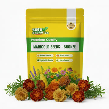 Marigold Seeds – Bronze