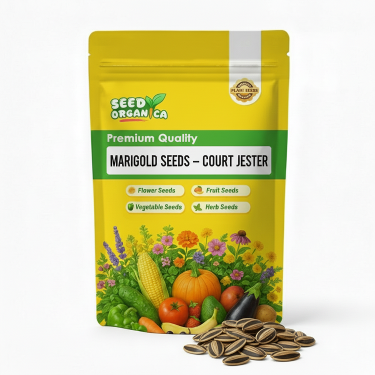 Marigold Seeds – Court Jester