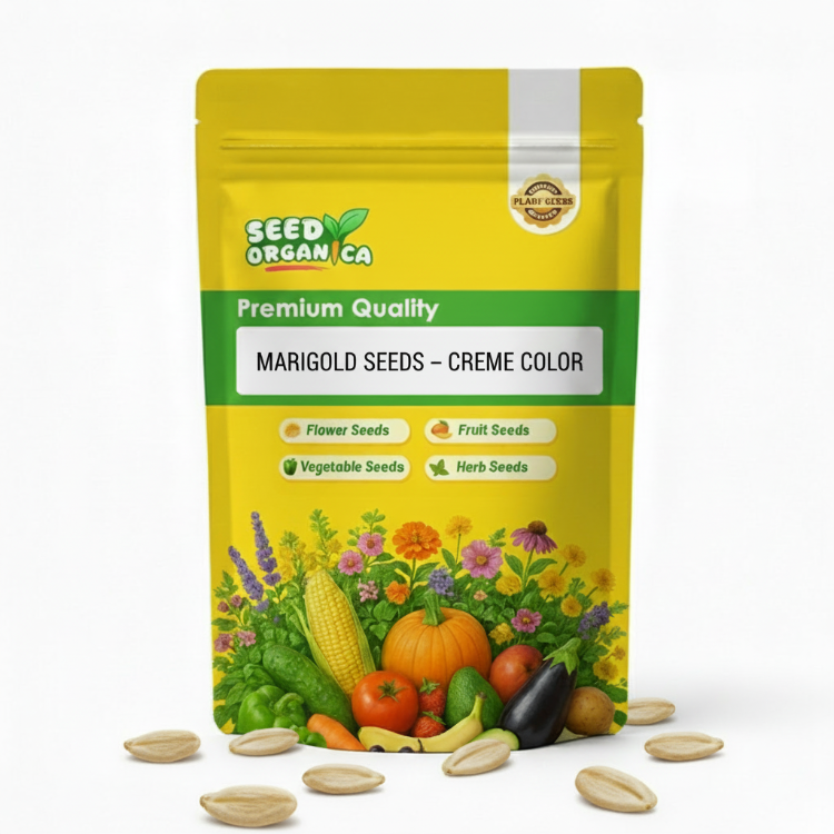 Marigold Seeds – Creme Color