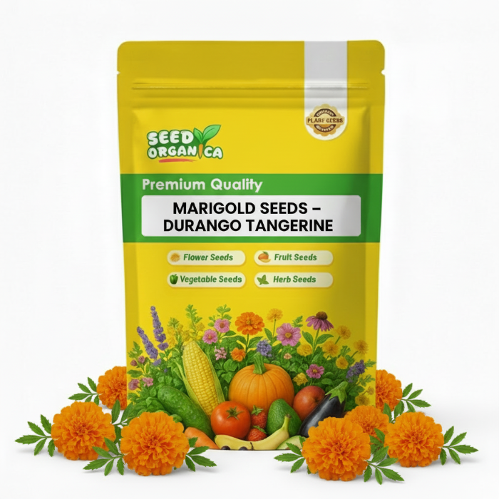 Marigold Seeds – Durango Tangerine