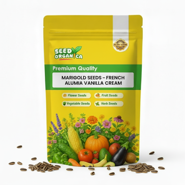 Marigold Seeds – French Alumia Vanilla Cream