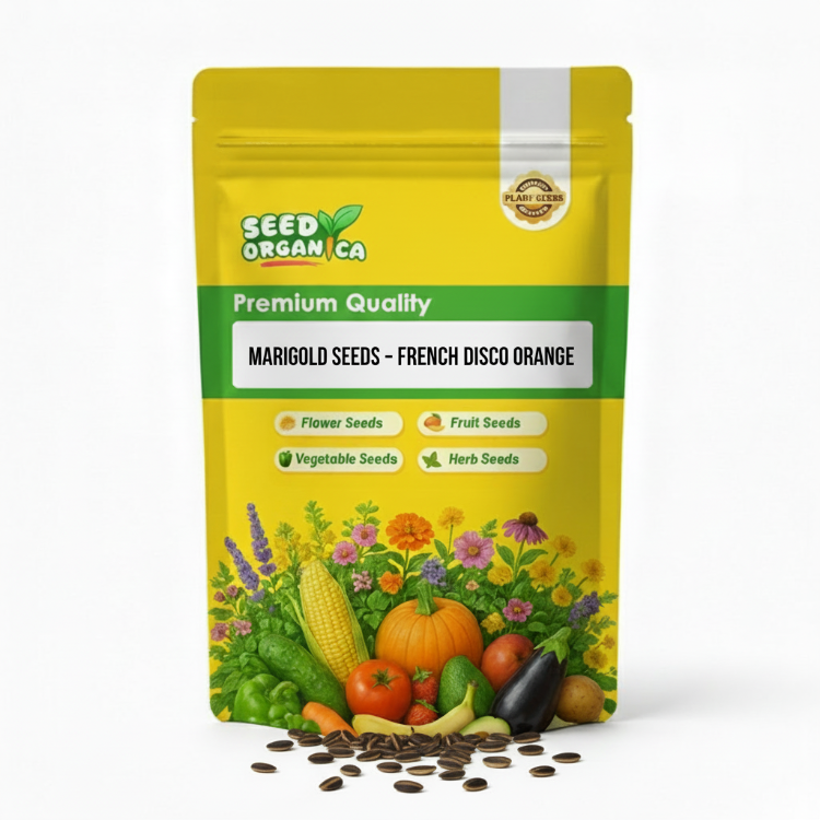 Marigold Seeds – French Disco Orange