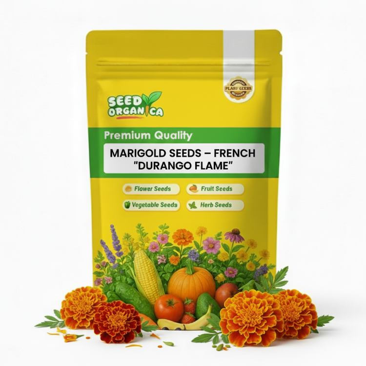 Marigold Seeds – French ‘Durango Flame’