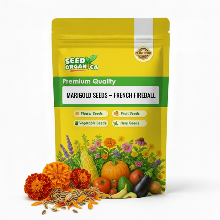 Marigold Seeds – French Fireball