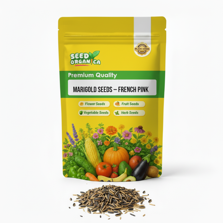 Marigold Seeds – French Pink