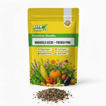 Marigold Seeds – French Pink