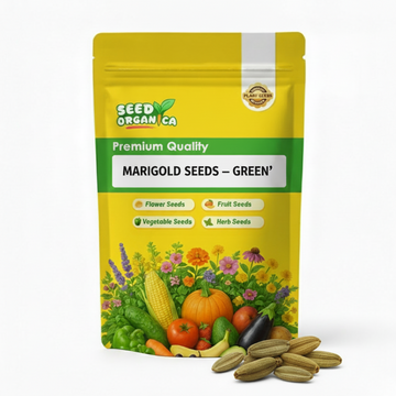 Marigold Seeds – Green