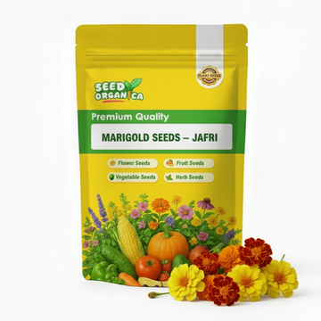 Marigold Seeds – Jafri