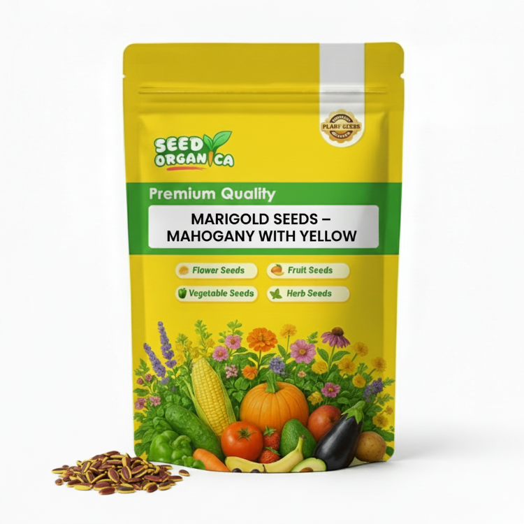 Marigold Seeds – Mahogany with Yellow