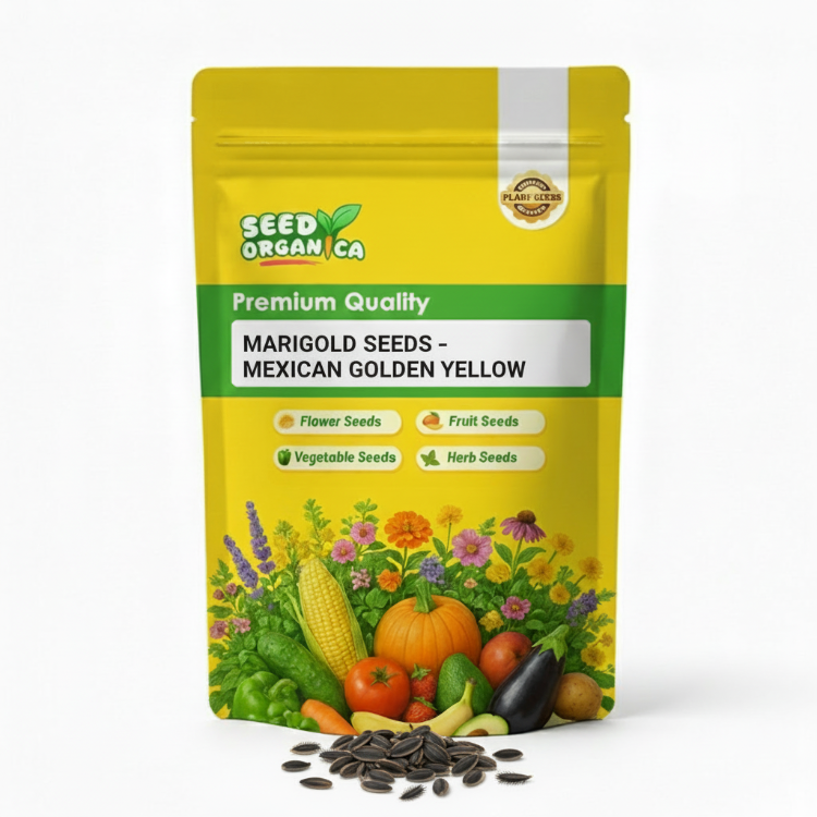Marigold Seeds – Mexican Golden Yellow