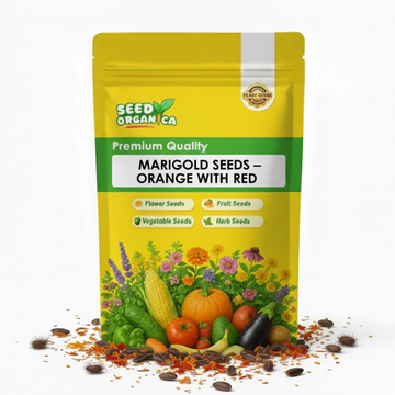 Marigold Seeds – Orange with Red
