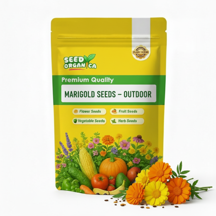Marigold Seeds – Outdoor