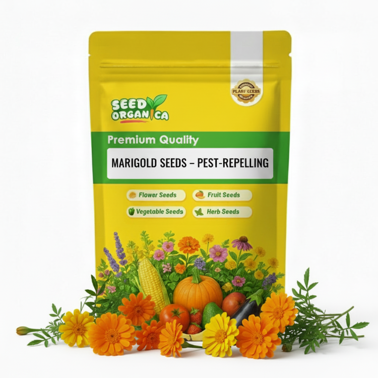 Marigold Seeds – Pest-Repelling
