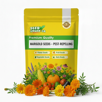 Marigold Seeds – Pest-Repelling