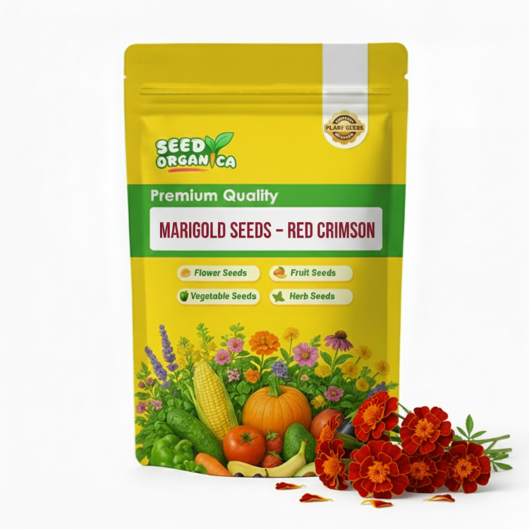 Marigold Seeds – Red Crimson