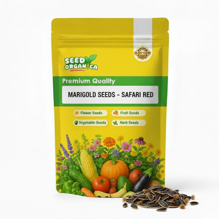 Marigold Seeds – Safari Red