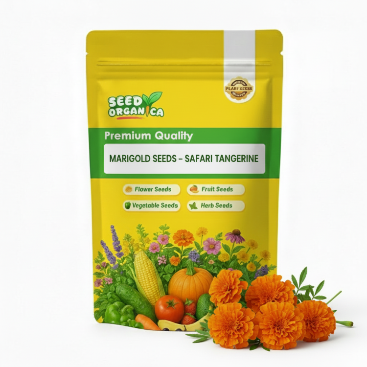 Marigold Seeds – Safari Tangerine