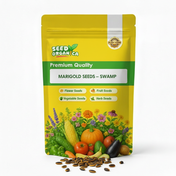 Marigold Seeds – Swamp