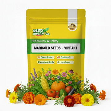 Marigold Seeds – Vibrant