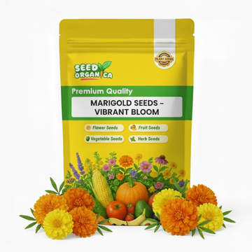Marigold Seeds – Vibrant Bloom