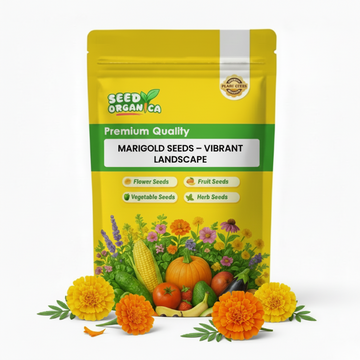 Marigold Seeds – Vibrant Landscape