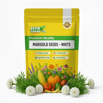 Marigold Seeds – White