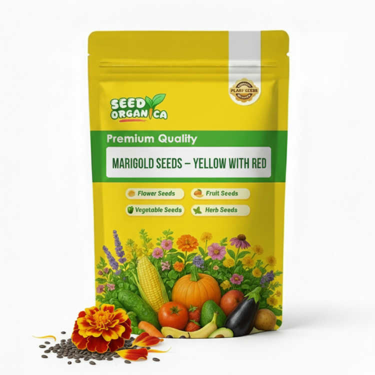 Marigold Seeds – Yellow with Red