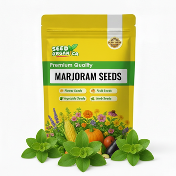 Marjoram Seeds