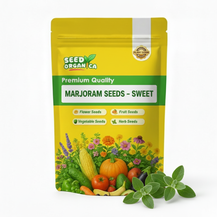 Marjoram Seeds – Sweet
