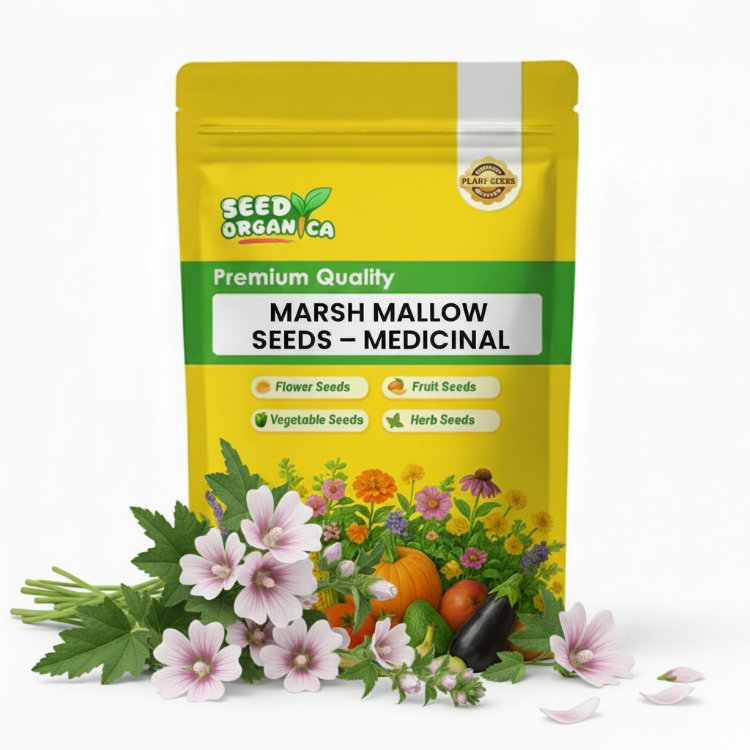 Marsh Mallow Seeds – Medicinal