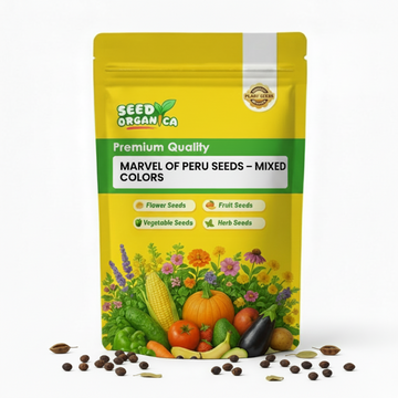 Marvel of Peru Seeds – Mixed Colors