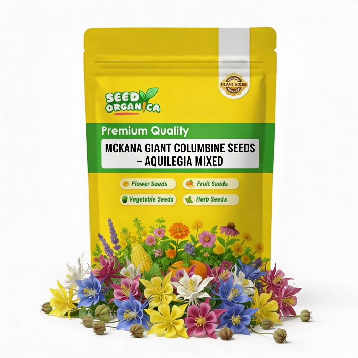 Mckana Giant Columbine Seeds – Aquilegia Mixed