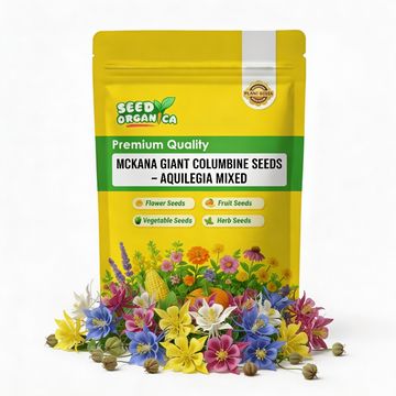 Mckana Giant Columbine Seeds – Aquilegia Mixed