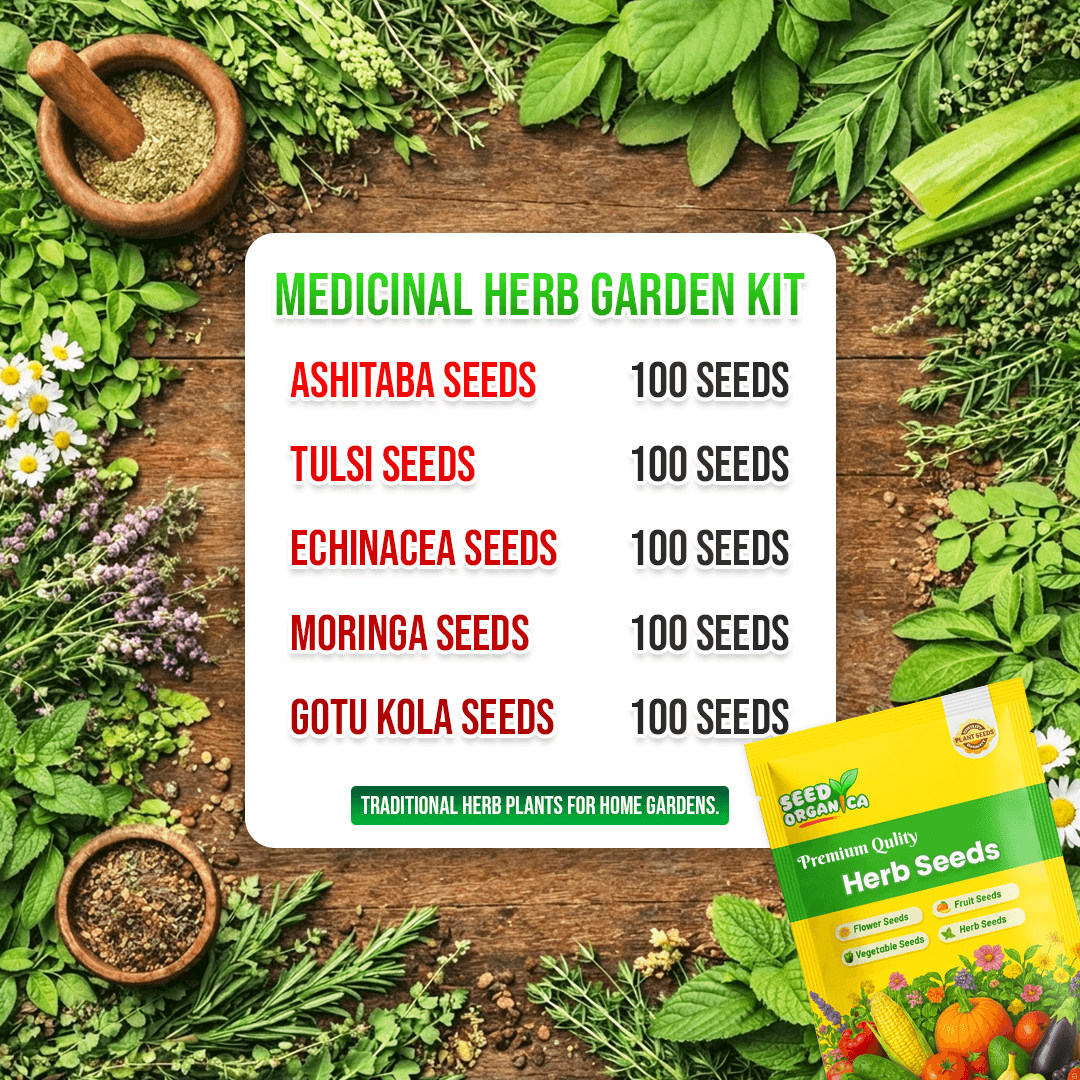 Medicinal Herb Garden Kit