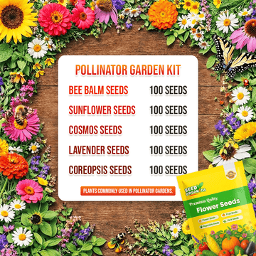 Medicinal Herb Garden Kit