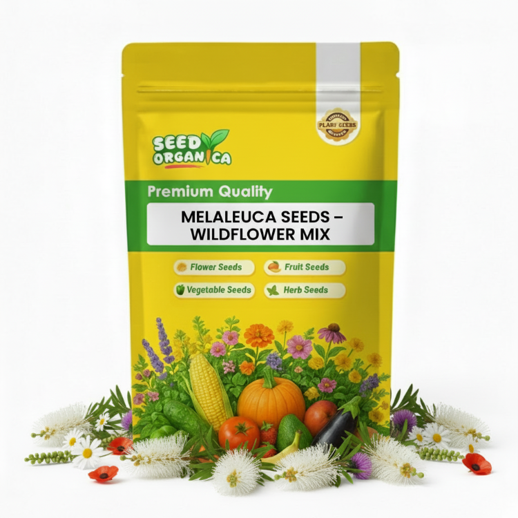 Melaleuca  Seeds – Wildflower Mix