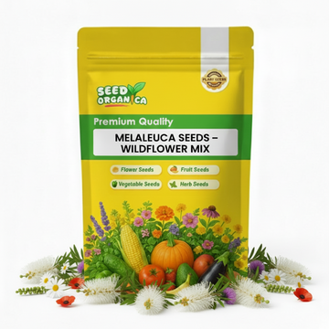 Melaleuca  Seeds – Wildflower Mix