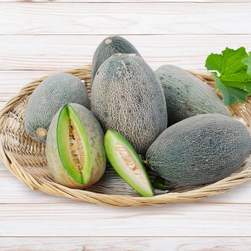 Melon Seeds – Bateekh Samara