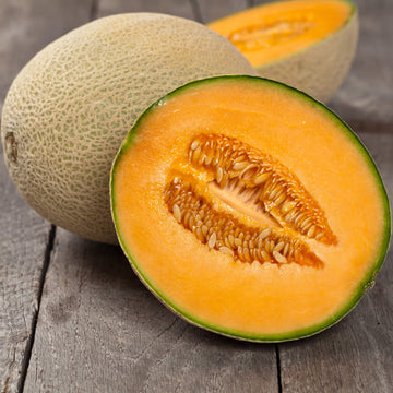 Melon Seeds – Cantaloupe